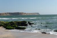 Nationalreservat Paracas