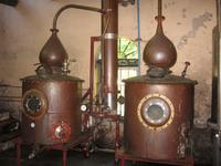 Weingut Blaauwklippen