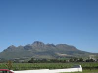 Weingut Blaauwklippen