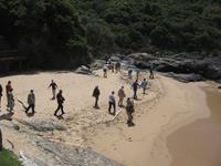 Tsitsikamma NP