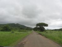 Hluhluwe/Umfolozi NP
