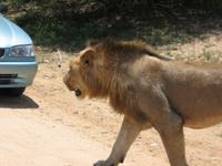 Kruger Park