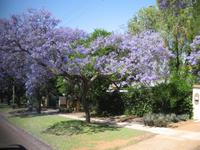 Pretoria