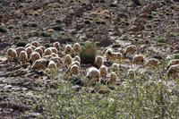 Schwer beschäftigt ...