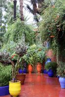 Jardin Majorelle