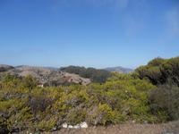 In San Francisco kann auch die Sonne scheinen