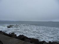 verrückte Surfer im eiskalten Wasser
