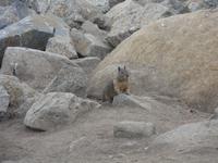 wir werden neugierig beäugt