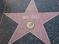 Claudia und ihr Lieblingsstern