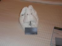 allabendliche Begrüßung auf der Kabine