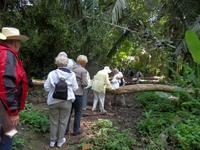 auf dem Rückweg haben wir einen Weg ohne Klettern gefunden