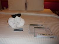 allabendliche Begrüßung auf der Kabine