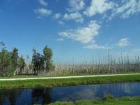 unterwegs in die Everglades