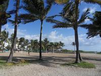 in Miami Beach