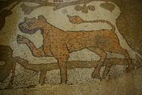 Otranto_Kathedrale_Santa_Maria_Annunziata_Fussbodenmosaik (6)