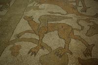 Otranto_Kathedrale_Santa_Maria_Annunziata_Fussbodenmosaik (8)