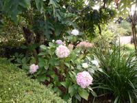 in den wunderschönen Gärten