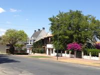 Flaschenbaum links im Bild