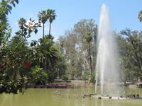 San Martin Parque in Salta