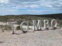 Pinguinkolonie Tombo