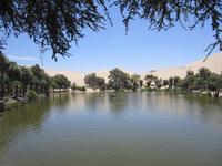 Oase Huacachina