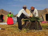 So entsteht eine schwimmende Insel