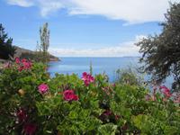 Wunderschöne Insel Suasi im Titicaca-See