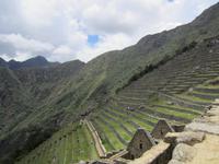 Führung auf dem Machu Pichu