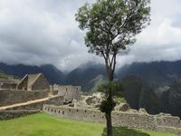 Auf dem Machu Pichu