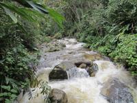 Wanderung durch den subtropischen Dschungel am Machu Pichu