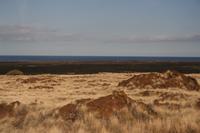 Big Island - Inselrundfahrt