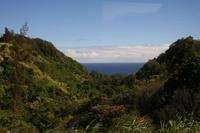 Big Island - Inselrundfahrt