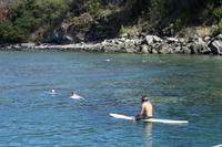 Segeltörn - Schnorcheln