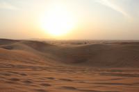 Die Weiten der Wueste