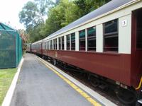 P1030520- Zugfahrt mit der historischen Bahn zurück nach Cairns