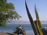 Blick von Kapernaum auf den See Genezareth