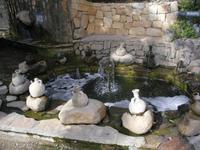 Quelle in Jericho