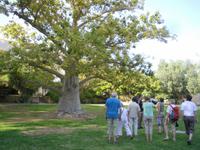 Botanischer Garten im Kibbuz En Gedi