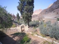 Sinai - ... auf dem Weg zum Katharinenkloster ...