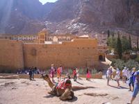 Sinai - Katharinenkloster