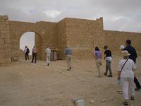 Avdat