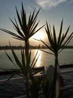 Sonnenuntergang am Nil