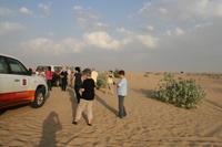 0061 Wüsten-Jeep-Safari