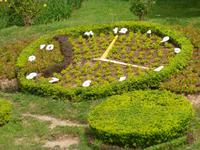 Botanischer Garten von Da Lat