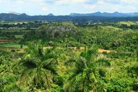 Blick ins Vinales Tal