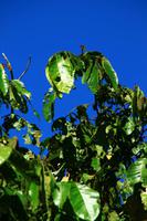 Unterwegs im Dschungel