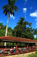 Unterwegs im Escambray Gebirge