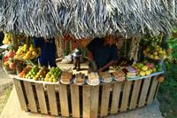 Unterwegs im Escambray Gebirge