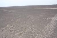 Nasca Linien, Peru