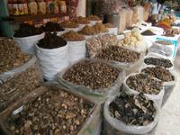 man kann auch alles trocknen